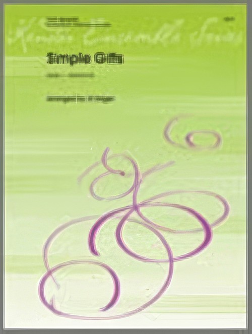 SIMPLE GIFTS (Flute Quartet)